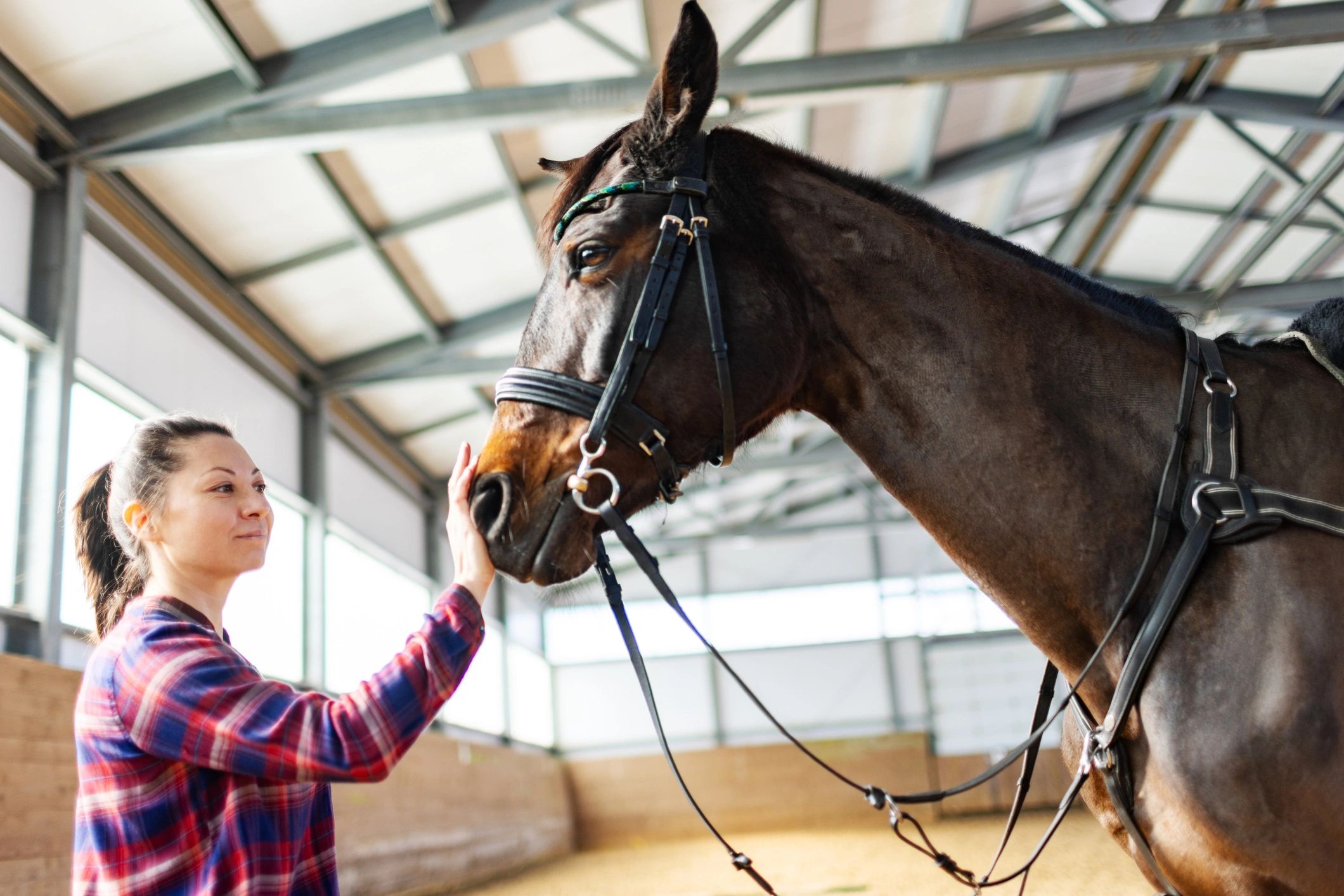 Woman with horse in riding harness